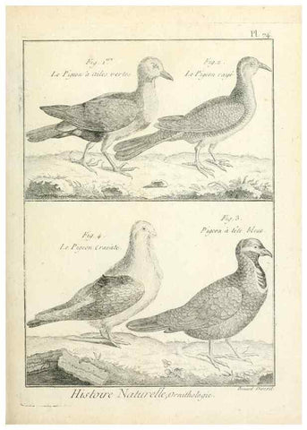 Reproducción/Reproduction 7850592576: Tableau encyclopédique et méthodique des trois règnes de la nature.. A Paris :Chez Mme. veuve Agasse ...,1823.