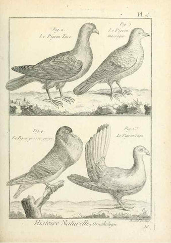 Reproducción/Reproduction 7850593230: Tableau encyclopédique et méthodique des trois règnes de la nature.. A Paris :Chez Mme. veuve Agasse ...,1823.