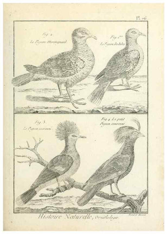 Reproducción/Reproduction 7850593948: Tableau encyclopédique et méthodique des trois règnes de la nature.. A Paris :Chez Mme. veuve Agasse ...,1823.