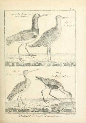 Reproducción/Reproduction 7850590046: Tableau encyclopédique et méthodique des trois règnes de la nature.. A Paris :Chez Mme. veuve Agasse ...,1823.