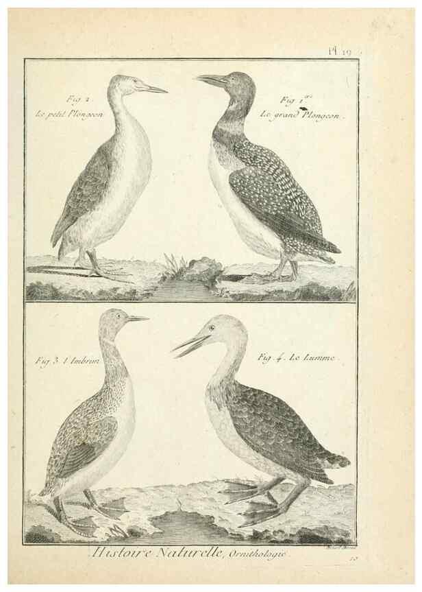 Reproducción/Reproduction 7850558014: Tableau encyclopédique et méthodique des trois règnes de la nature.. A Paris :Chez Mme. veuve Agasse ...,1823.