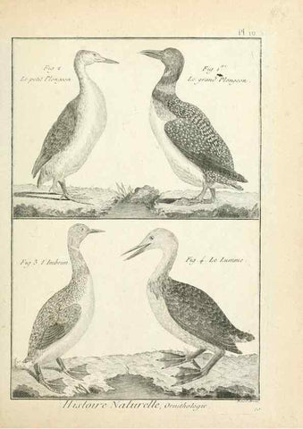 Reproducción/Reproduction 7850558014: Tableau encyclopédique et méthodique des trois règnes de la nature.. A Paris :Chez Mme. veuve Agasse ...,1823.