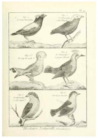 Reproducción/Reproduction 7850615818: Tableau encyclopédique et méthodique des trois règnes de la nature.. A Paris :Chez Mme. veuve Agasse ...,1823.