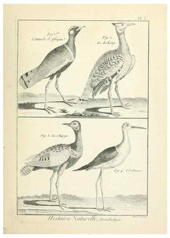 Reproducción/Reproduction 7850550218: Tableau encyclopédique et méthodique des trois règnes de la nature.. A Paris :Chez Mme. veuve Agasse ...,1823.
