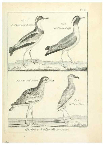 Reproducción/Reproduction 7850551728: Tableau encyclopédique et méthodique des trois règnes de la nature.. A Paris :Chez Mme. veuve Agasse ...,1823.