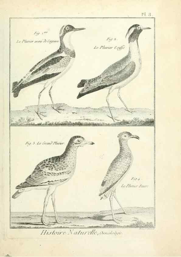 Reproducción/Reproduction 7850551728: Tableau encyclopédique et méthodique des trois règnes de la nature.. A Paris :Chez Mme. veuve Agasse ...,1823.