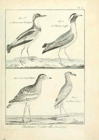 Reproducción/Reproduction 7850551728: Tableau encyclopédique et méthodique des trois règnes de la nature.. A Paris :Chez Mme. veuve Agasse ...,1823.