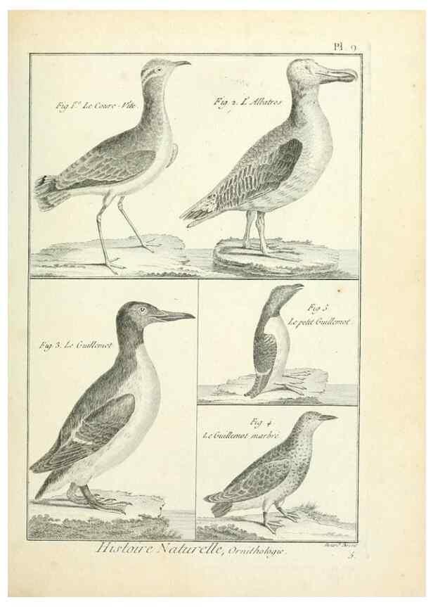 Reproducción/Reproduction 7850552214: Tableau encyclopédique et méthodique des trois règnes de la nature.. A Paris :Chez Mme. veuve Agasse ...,1823.
