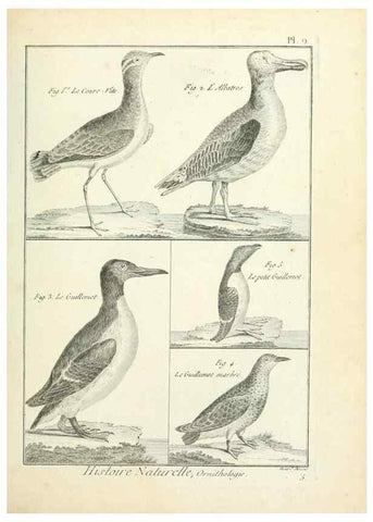 Reproducción/Reproduction 7850552214: Tableau encyclopédique et méthodique des trois règnes de la nature.. A Paris :Chez Mme. veuve Agasse ...,1823.