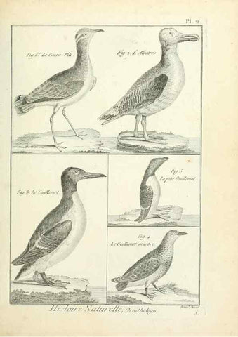 Reproducción/Reproduction 7850552214: Tableau encyclopédique et méthodique des trois règnes de la nature.. A Paris :Chez Mme. veuve Agasse ...,1823.