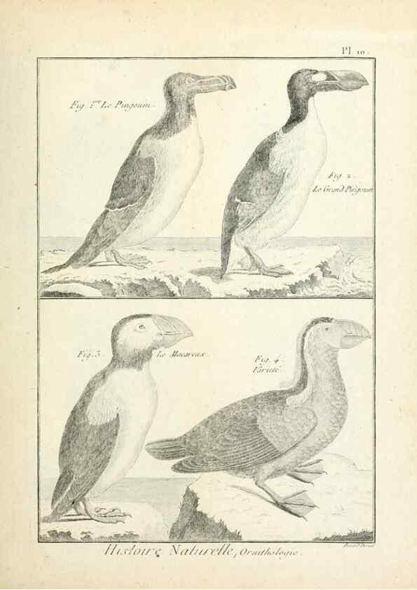 Reproducción/Reproduction 7850552742: Tableau encyclopédique et méthodique des trois règnes de la nature.. A Paris :Chez Mme. veuve Agasse ...,1823.