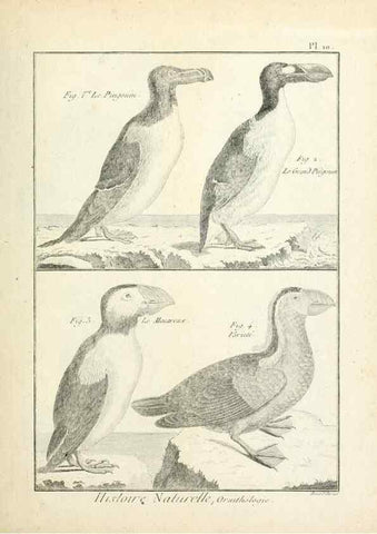 Reproducción/Reproduction 7850552742: Tableau encyclopédique et méthodique des trois règnes de la nature.. A Paris :Chez Mme. veuve Agasse ...,1823.