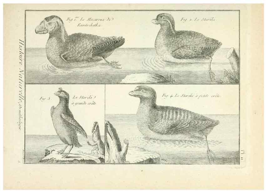 Reproducción/Reproduction 7850553374: Tableau encyclopédique et méthodique des trois règnes de la nature.. A Paris :Chez Mme. veuve Agasse ...,1823.