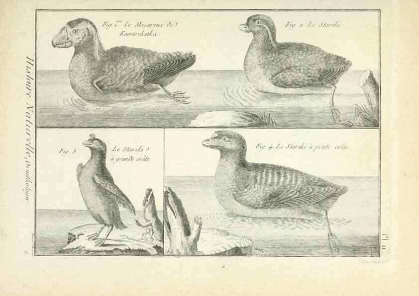 Reproducción/Reproduction 7850553374: Tableau encyclopédique et méthodique des trois règnes de la nature.. A Paris :Chez Mme. veuve Agasse ...,1823.