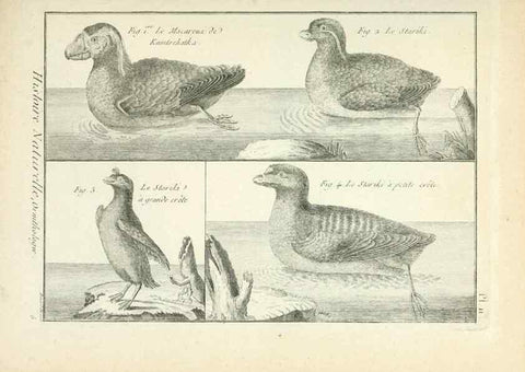 Reproducción/Reproduction 7850553374: Tableau encyclopédique et méthodique des trois règnes de la nature.. A Paris :Chez Mme. veuve Agasse ...,1823.