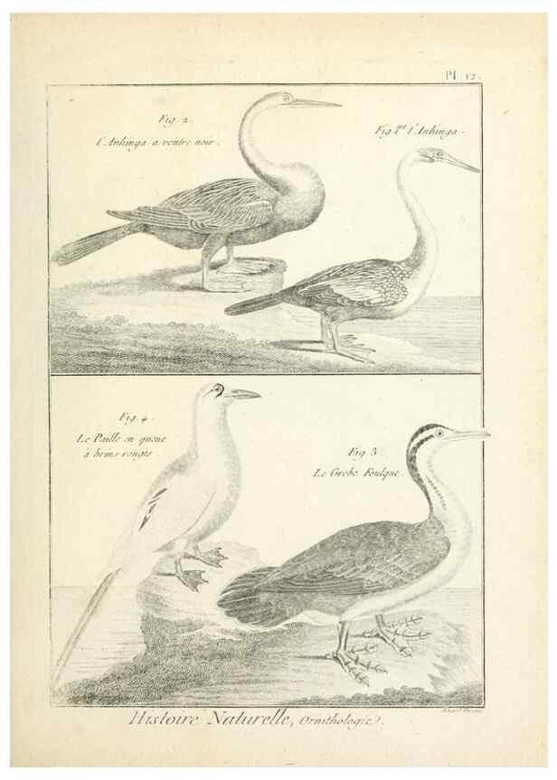 Reproducción/Reproduction 7850553984: Tableau encyclopédique et méthodique des trois règnes de la nature.. A Paris :Chez Mme. veuve Agasse ...,1823.