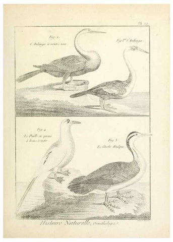 Reproducción/Reproduction 7850553984: Tableau encyclopédique et méthodique des trois règnes de la nature.. A Paris :Chez Mme. veuve Agasse ...,1823.