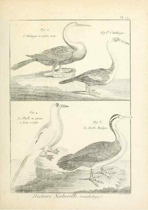 Reproducción/Reproduction 7850553984: Tableau encyclopédique et méthodique des trois règnes de la nature.. A Paris :Chez Mme. veuve Agasse ...,1823.