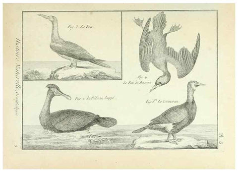 Reproducción/Reproduction 7850555826: Tableau encyclopédique et méthodique des trois règnes de la nature.. A Paris :Chez Mme. veuve Agasse ...,1823.