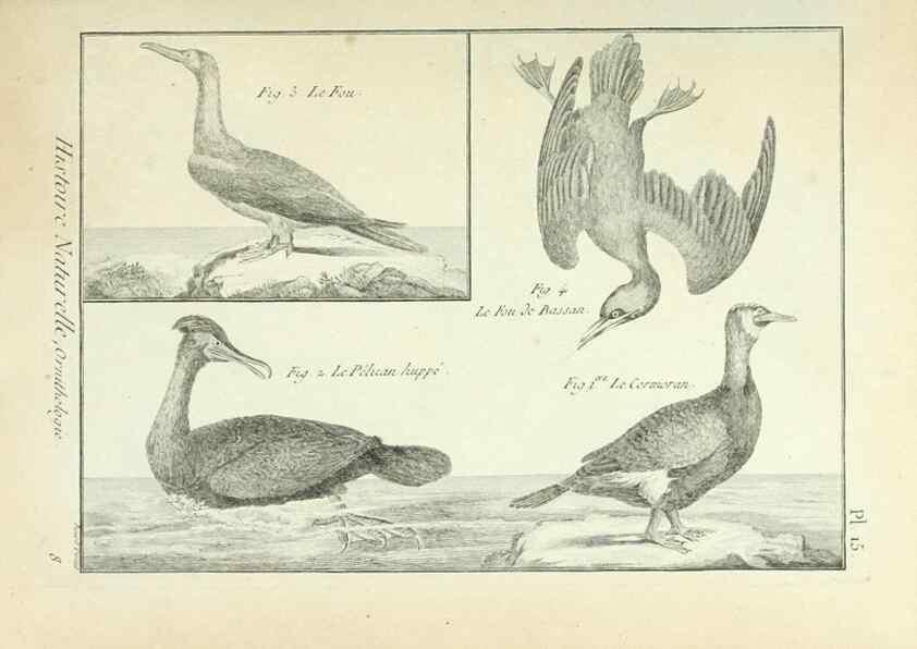 Reproducción/Reproduction 7850555826: Tableau encyclopédique et méthodique des trois règnes de la nature.. A Paris :Chez Mme. veuve Agasse ...,1823.