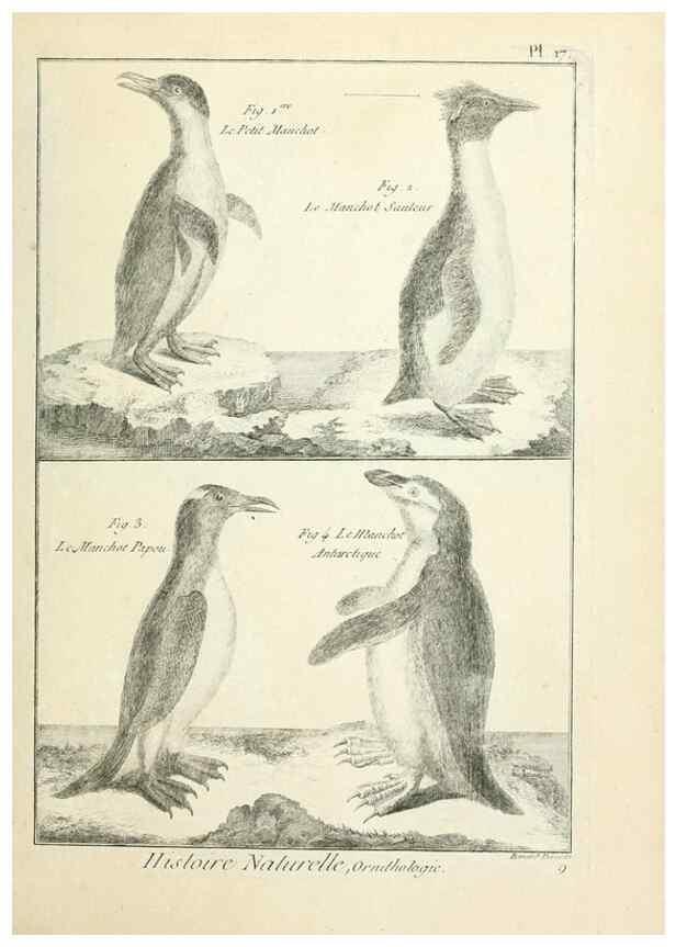 Reproducción/Reproduction 7850556952: Tableau encyclopédique et méthodique des trois règnes de la nature.. A Paris :Chez Mme. veuve Agasse ...,1823.