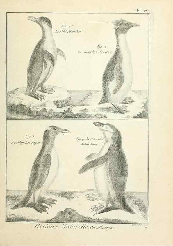 Reproducción/Reproduction 7850556952: Tableau encyclopédique et méthodique des trois règnes de la nature.. A Paris :Chez Mme. veuve Agasse ...,1823.