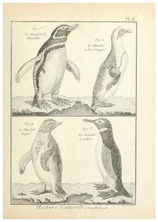 Reproducción/Reproduction 7850557476: Tableau encyclopédique et méthodique des trois règnes de la nature.. A Paris :Chez Mme. veuve Agasse ...,1823.