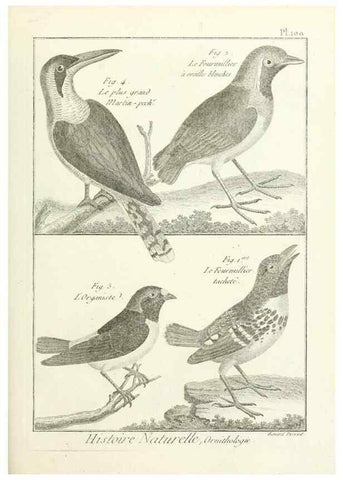 Reproducción/Reproduction 7850616844: Tableau encyclopédique et méthodique des trois règnes de la nature.. A Paris :Chez Mme. veuve Agasse ...,1823.