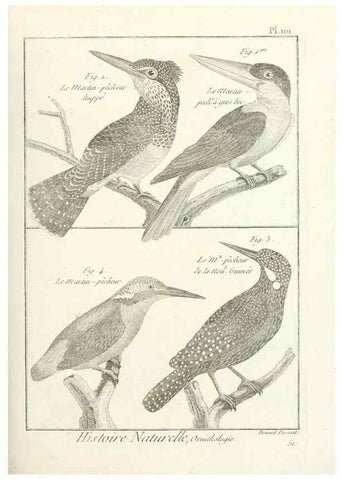 Reproducción/Reproduction 7850617952: Tableau encyclopédique et méthodique des trois règnes de la nature.. A Paris :Chez Mme. veuve Agasse ...,1823.