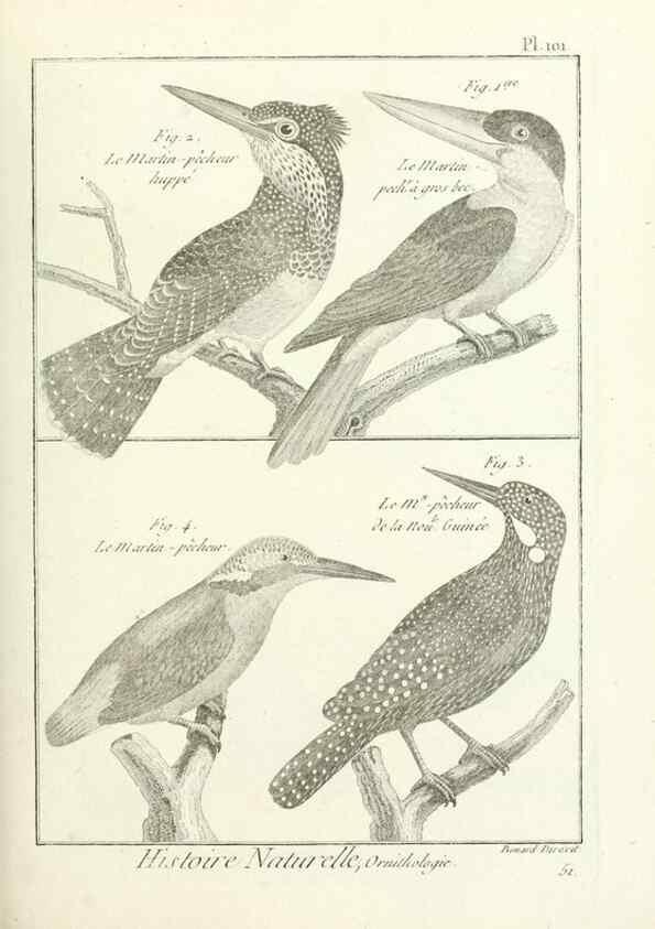 Reproducción/Reproduction 7850617952: Tableau encyclopédique et méthodique des trois règnes de la nature.. A Paris :Chez Mme. veuve Agasse ...,1823.