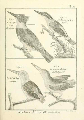 Reproducción/Reproduction 7850619142: Tableau encyclopédique et méthodique des trois règnes de la nature.. A Paris :Chez Mme. veuve Agasse ...,1823.