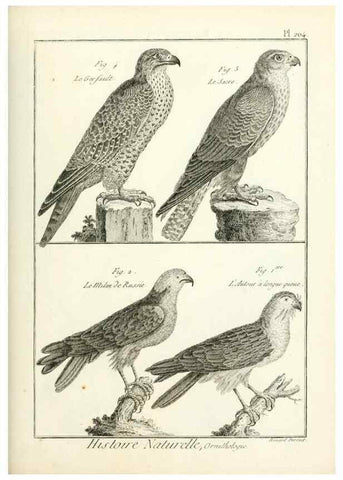 Reproducción/Reproduction 7850783884: Tableau encyclopédique et méthodique des trois règnes de la nature.. A Paris :Chez Mme. veuve Agasse ...,1823.