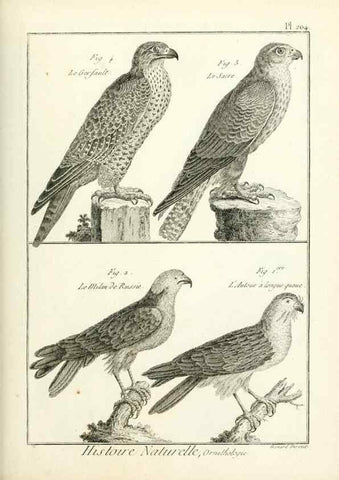 Reproducción/Reproduction 7850783884: Tableau encyclopédique et méthodique des trois règnes de la nature.. A Paris :Chez Mme. veuve Agasse ...,1823.