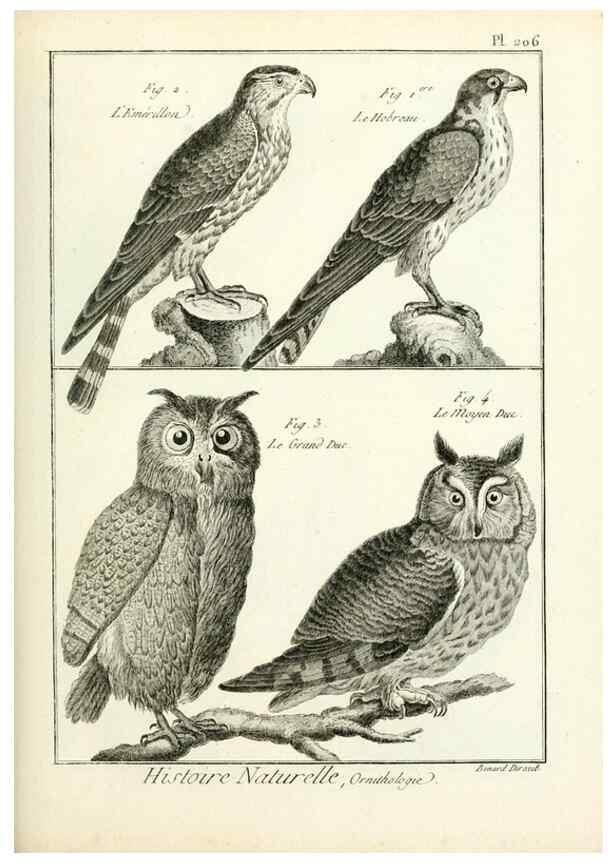 Reproducción/Reproduction 7850786462: Tableau encyclopédique et méthodique des trois règnes de la nature.. A Paris :Chez Mme. veuve Agasse ...,1823.