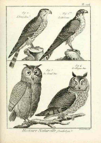 Reproducción/Reproduction 7850786462: Tableau encyclopédique et méthodique des trois règnes de la nature.. A Paris :Chez Mme. veuve Agasse ...,1823.