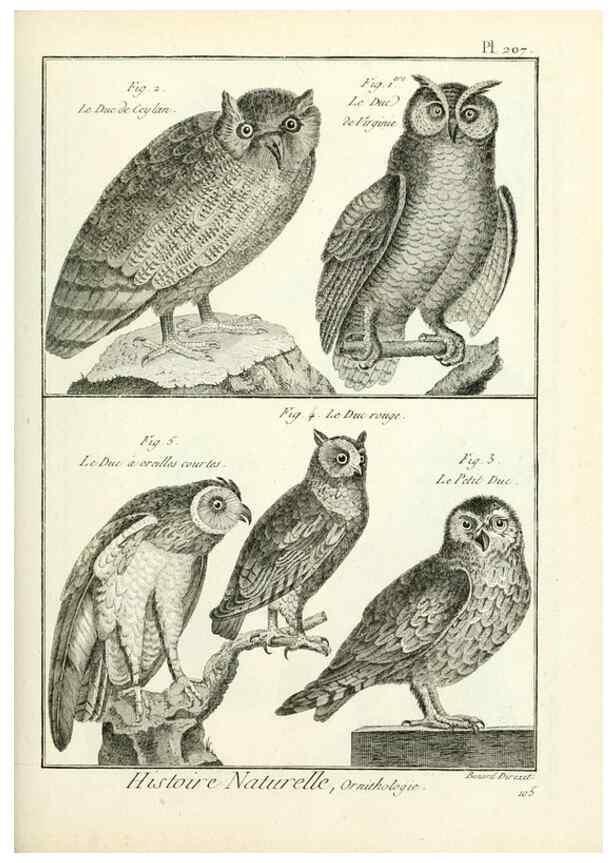 Reproducción/Reproduction 7850787782: Tableau encyclopédique et méthodique des trois règnes de la nature.. A Paris :Chez Mme. veuve Agasse ...,1823.