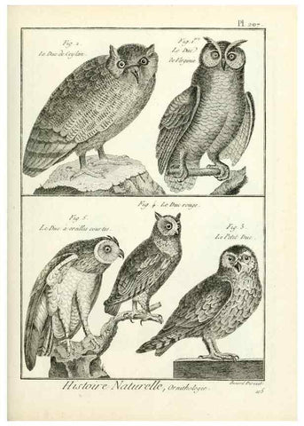 Reproducción/Reproduction 7850787782: Tableau encyclopédique et méthodique des trois règnes de la nature.. A Paris :Chez Mme. veuve Agasse ...,1823.