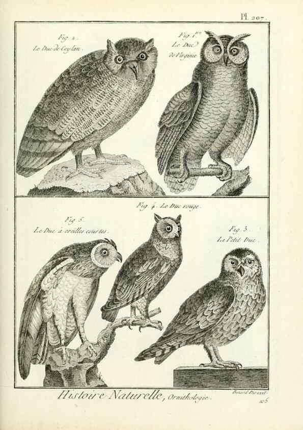 Reproducción/Reproduction 7850787782: Tableau encyclopédique et méthodique des trois règnes de la nature.. A Paris :Chez Mme. veuve Agasse ...,1823.