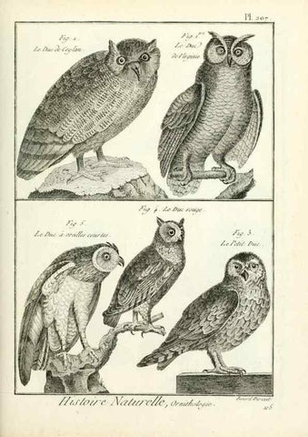 Reproducción/Reproduction 7850787782: Tableau encyclopédique et méthodique des trois règnes de la nature.. A Paris :Chez Mme. veuve Agasse ...,1823.