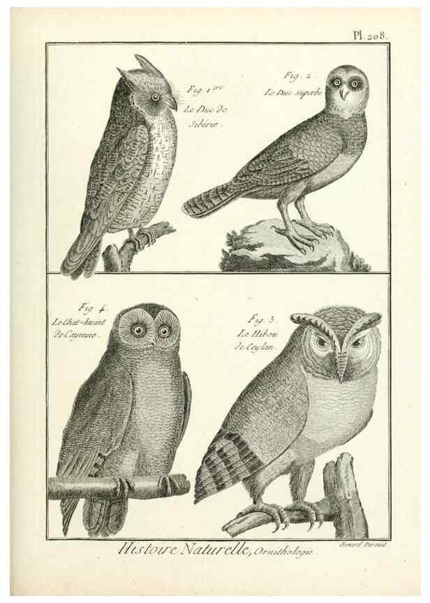 Reproducción/Reproduction 7850789294: Tableau encyclopédique et méthodique des trois règnes de la nature.. A Paris :Chez Mme. veuve Agasse ...,1823.
