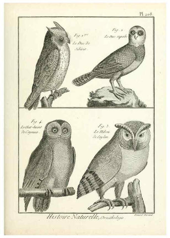 Reproducción/Reproduction 7850789294: Tableau encyclopédique et méthodique des trois règnes de la nature.. A Paris :Chez Mme. veuve Agasse ...,1823.