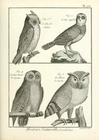Reproducción/Reproduction 7850789294: Tableau encyclopédique et méthodique des trois règnes de la nature.. A Paris :Chez Mme. veuve Agasse ...,1823.