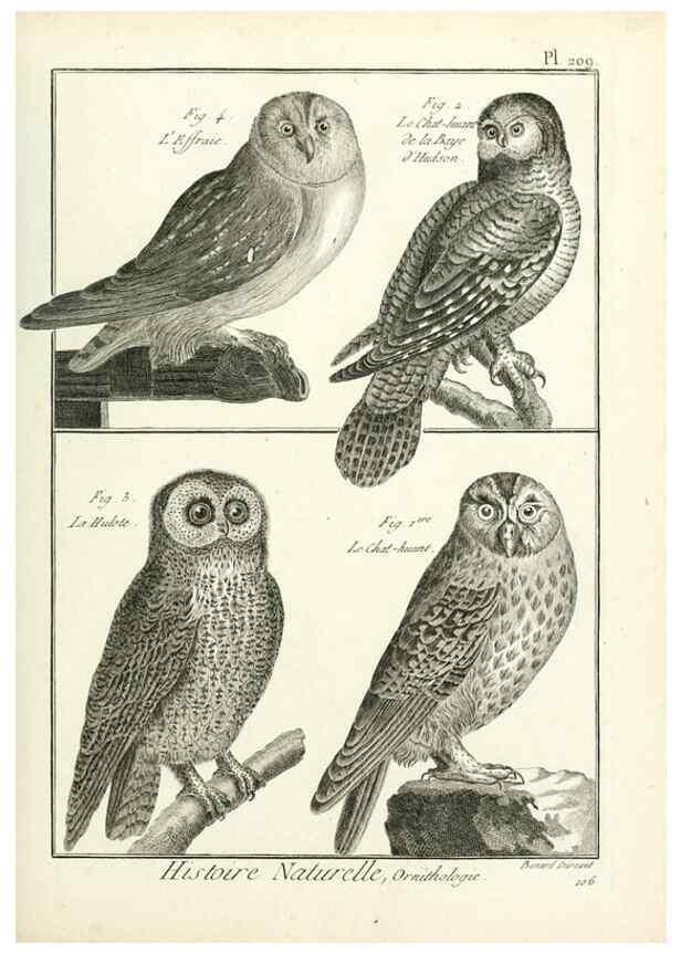 Reproducción/Reproduction 7850790640: Tableau encyclopédique et méthodique des trois règnes de la nature.. A Paris :Chez Mme. veuve Agasse ...,1823.