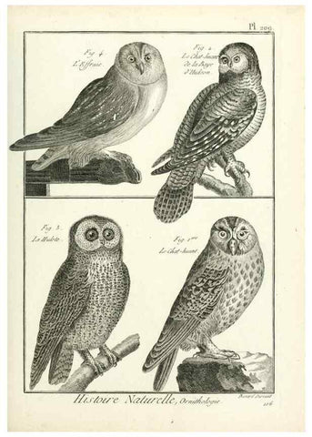 Reproducción/Reproduction 7850790640: Tableau encyclopédique et méthodique des trois règnes de la nature.. A Paris :Chez Mme. veuve Agasse ...,1823.