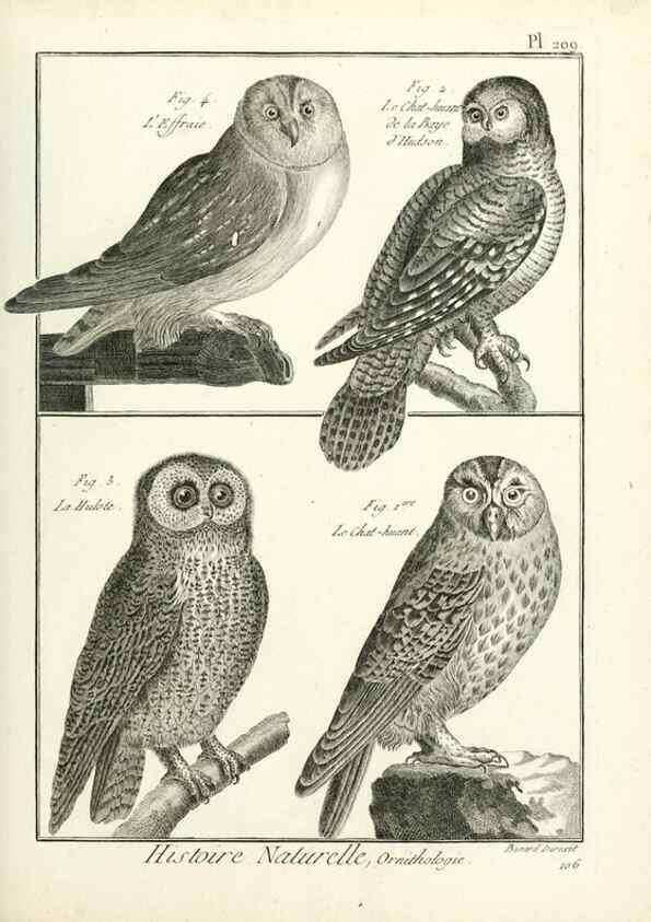Reproducción/Reproduction 7850790640: Tableau encyclopédique et méthodique des trois règnes de la nature.. A Paris :Chez Mme. veuve Agasse ...,1823.
