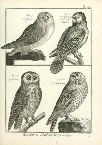 Reproducción/Reproduction 7850790640: Tableau encyclopédique et méthodique des trois règnes de la nature.. A Paris :Chez Mme. veuve Agasse ...,1823.