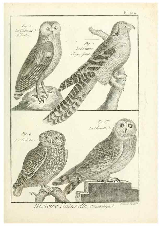 Reproducción/Reproduction 7850791886: Tableau encyclopédique et méthodique des trois règnes de la nature.. A Paris :Chez Mme. veuve Agasse ...,1823.