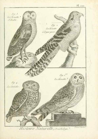 Reproducción/Reproduction 7850791886: Tableau encyclopédique et méthodique des trois règnes de la nature.. A Paris :Chez Mme. veuve Agasse ...,1823.