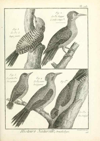 Reproducción/Reproduction 7850795838: Tableau encyclopédique et méthodique des trois règnes de la nature.. A Paris :Chez Mme. veuve Agasse ...,1823.