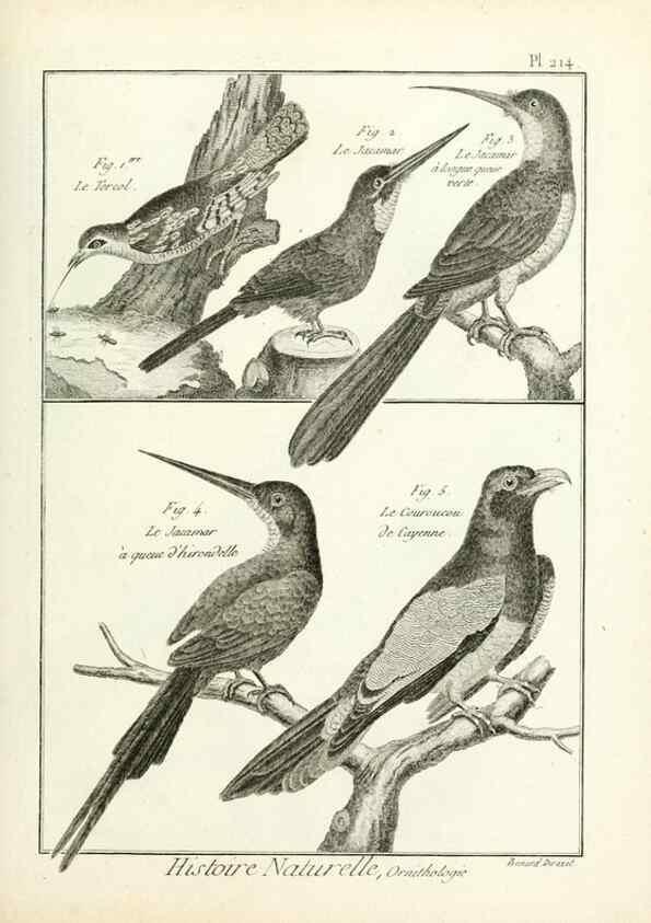Reproducción/Reproduction 7850797042: Tableau encyclopédique et méthodique des trois règnes de la nature.. A Paris :Chez Mme. veuve Agasse ...,1823.